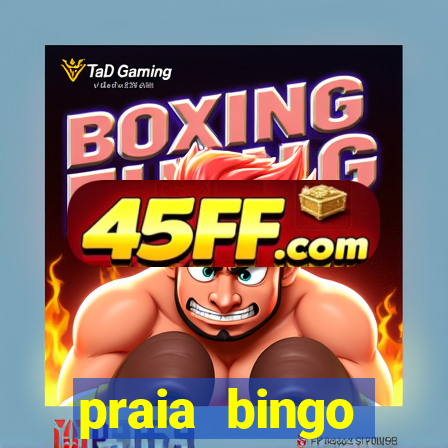 praia bingo dinheiro infinito 2022